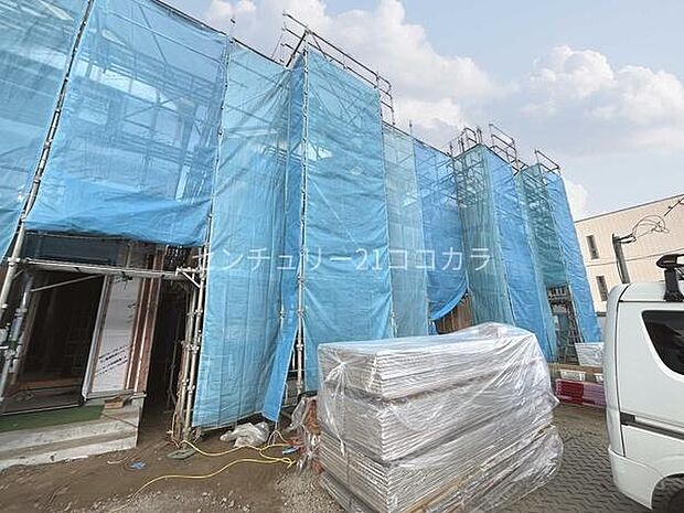 2026年2月2日撮影