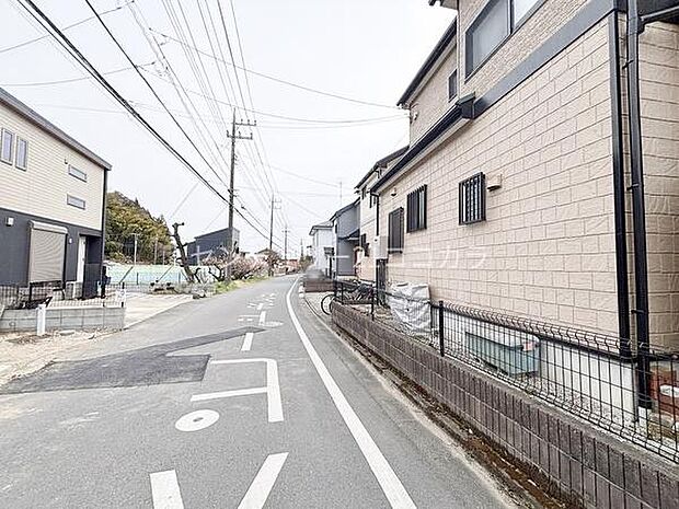 2026年3月13日撮影