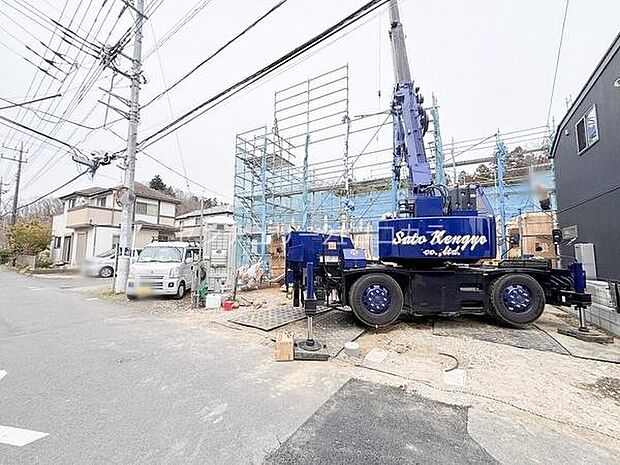 2026年3月13日撮影