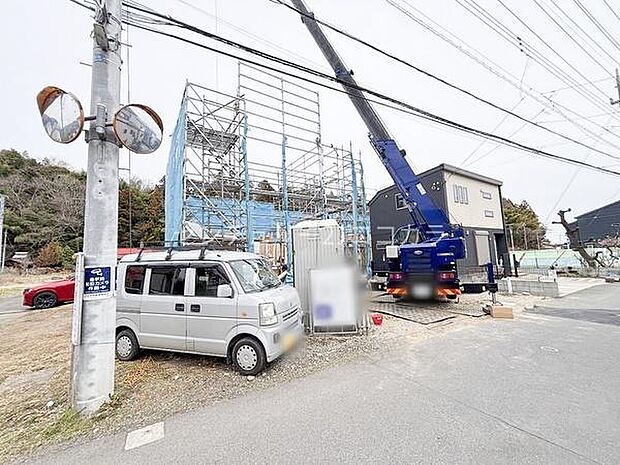 2026年3月13日撮影