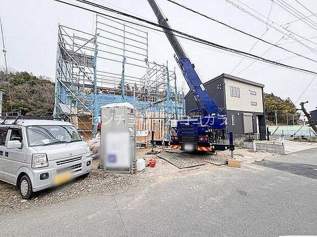 2026年3月13日撮影