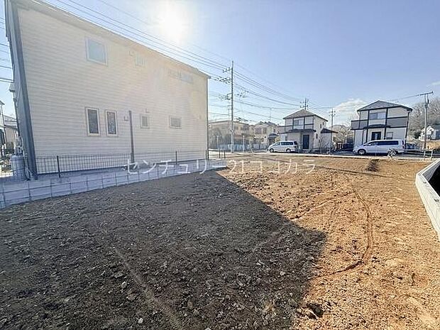 2026年2月13日撮影