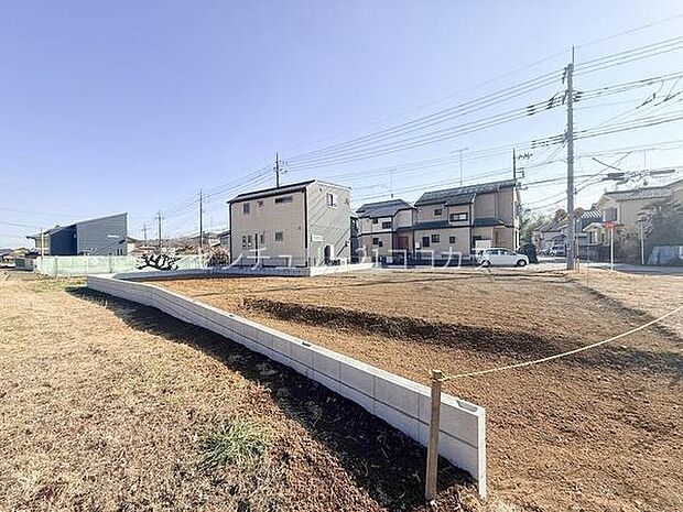 2026年2月13日撮影