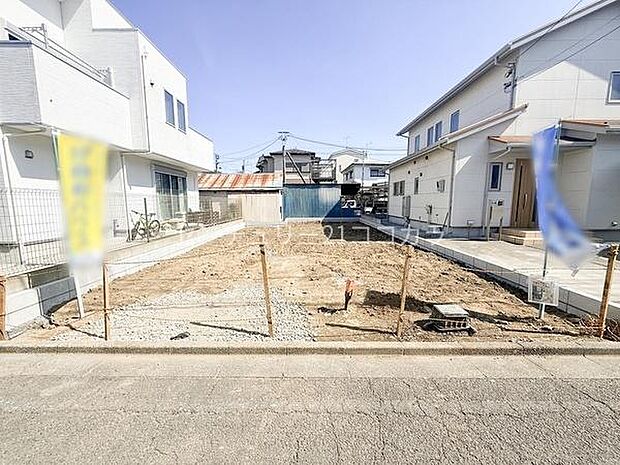 2026年3月15日撮影