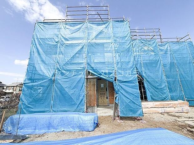 2026年3月23日撮影