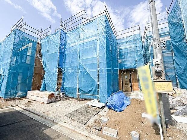 2026年3月23日撮影