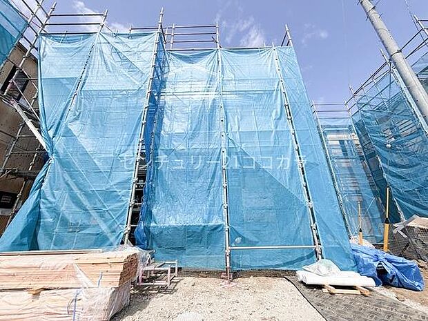 2026年3月23日撮影