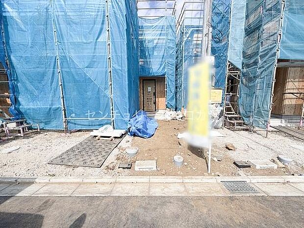 2026年3月23日撮影