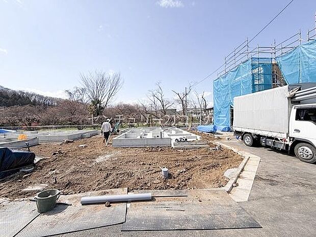 2026年3月23日撮影