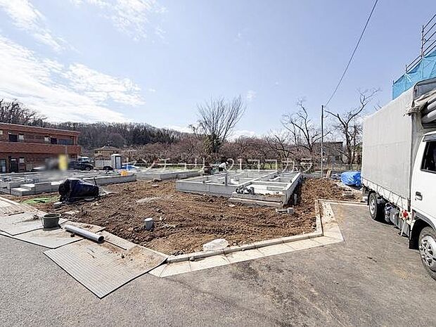 2026年3月23日撮影