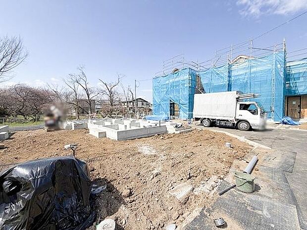 2026年3月23日撮影