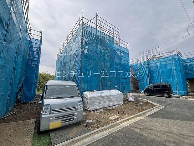 2026年4月17日撮影
