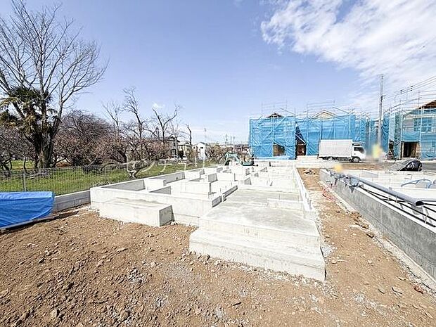 2026年3月23日撮影