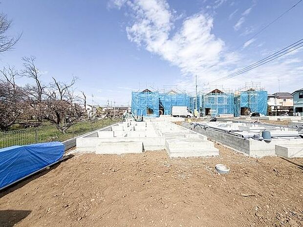 2026年3月23日撮影