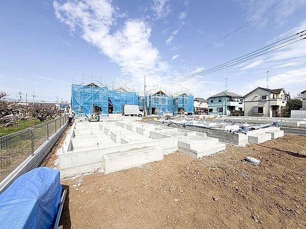 2026年3月23日撮影