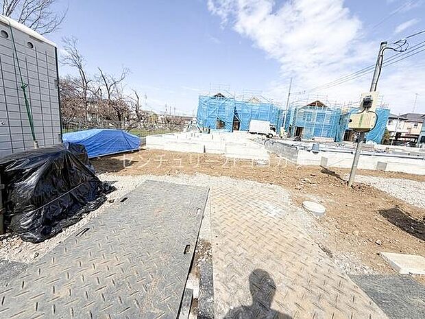 2026年3月23日撮影