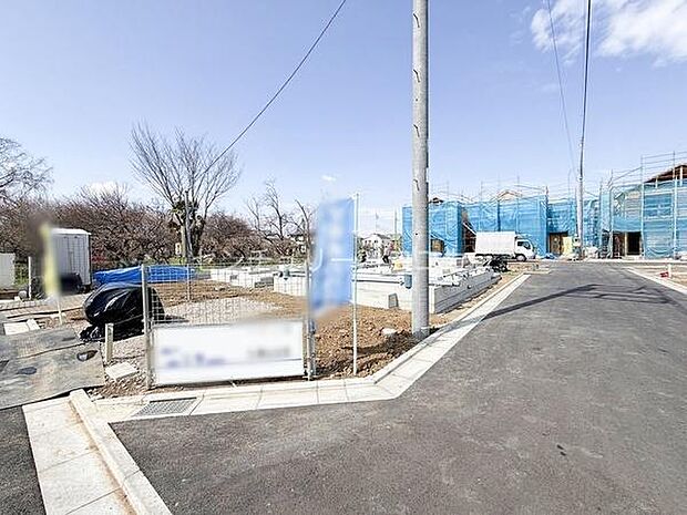 2026年3月23日撮影