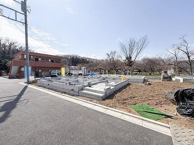 2026年3月23日撮影