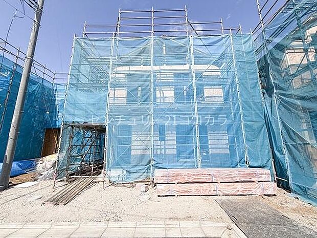 2026年3月23日撮影