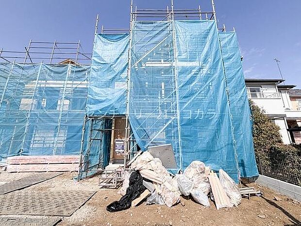 2026年3月23日撮影