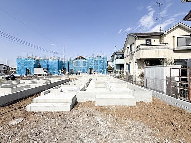 2026年3月23日撮影