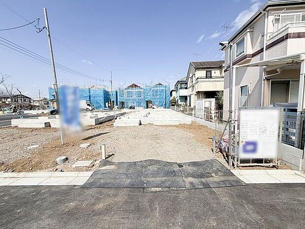 2026年3月23日撮影