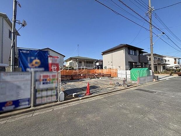 2026年3月16日撮影