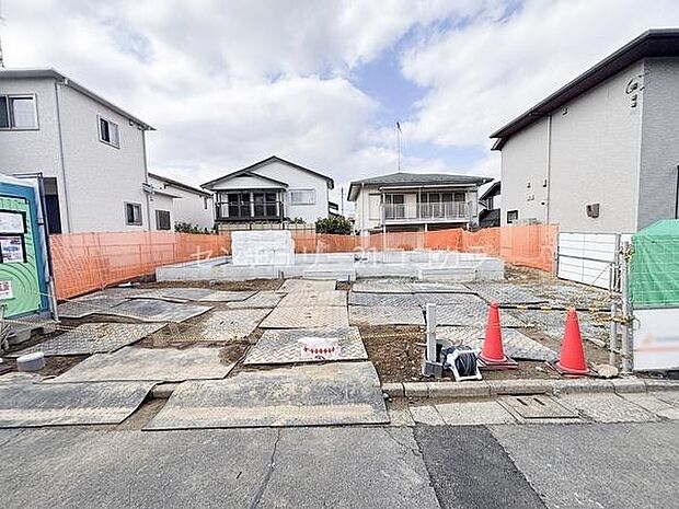 2026年3月16日撮影