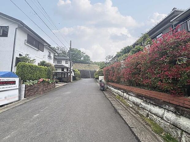 2026年4月30日撮影