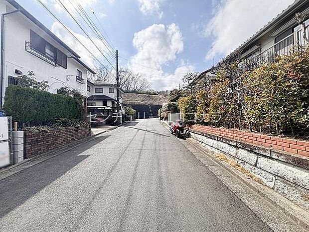 2026年3月16日撮影