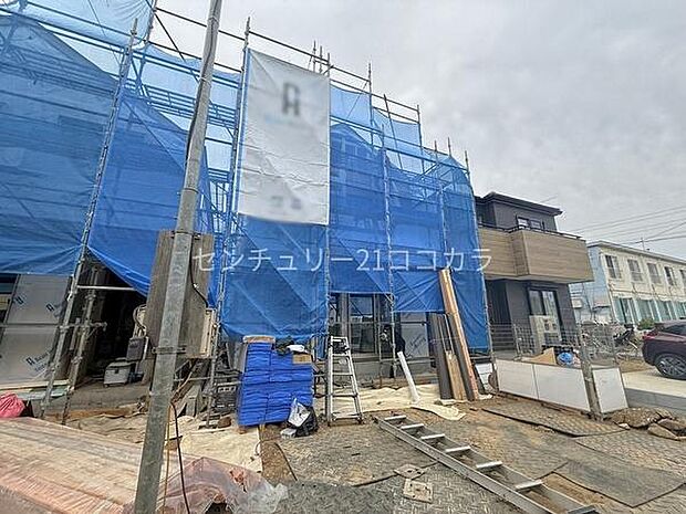2026年4月13日撮影