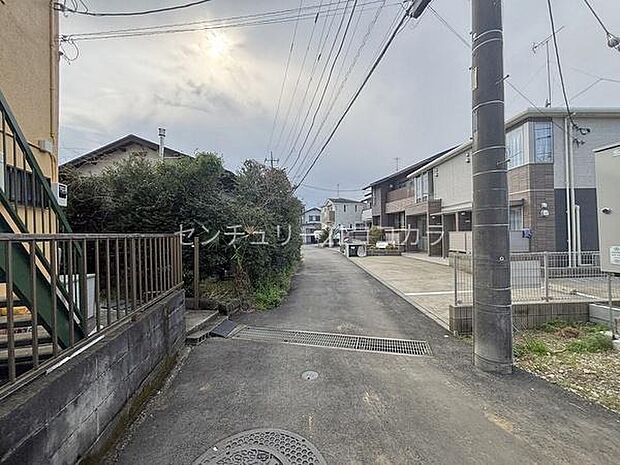 2026年3月28日撮影