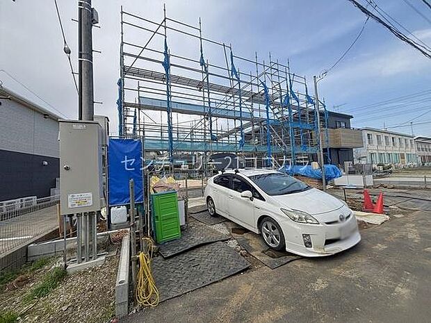 2026年3月28日撮影