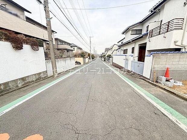 2026年2月20日撮影