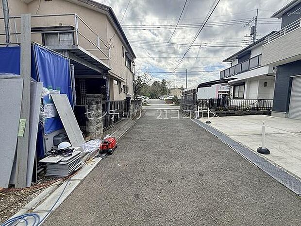 2026年3月27日撮影