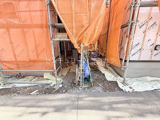 2026年2月22日撮影