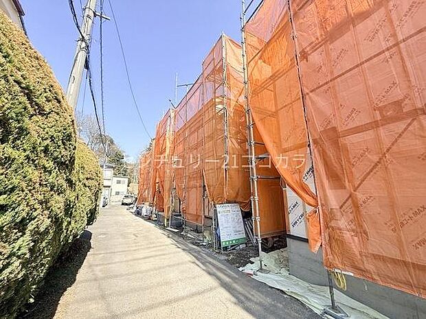 2026年2月22日撮影