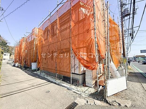 2026年2月22日撮影