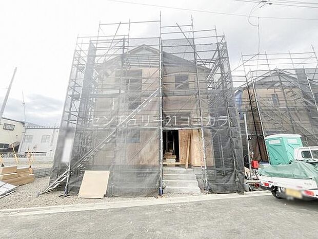 2026年3月19日撮影