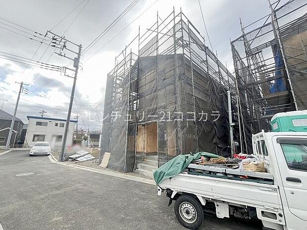 2026年3月19日撮影