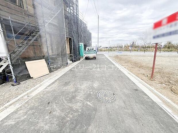 2026年3月19日撮影