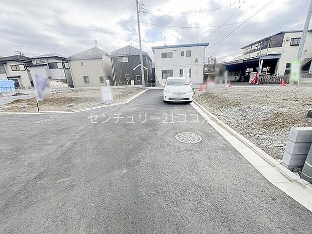 2026年3月19日撮影