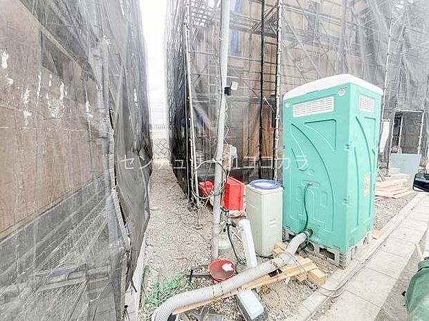 2026年3月19日撮影