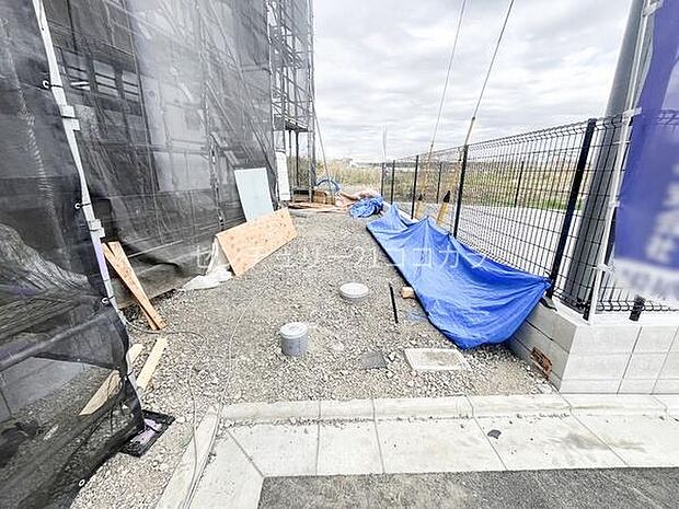 2026年3月19日撮影