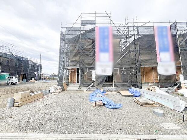 2026年3月19日撮影