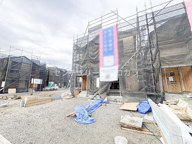 2026年3月19日撮影