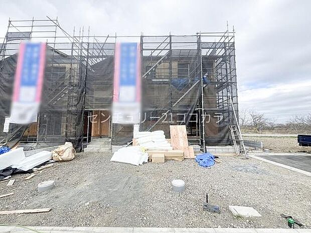 2026年3月19日撮影