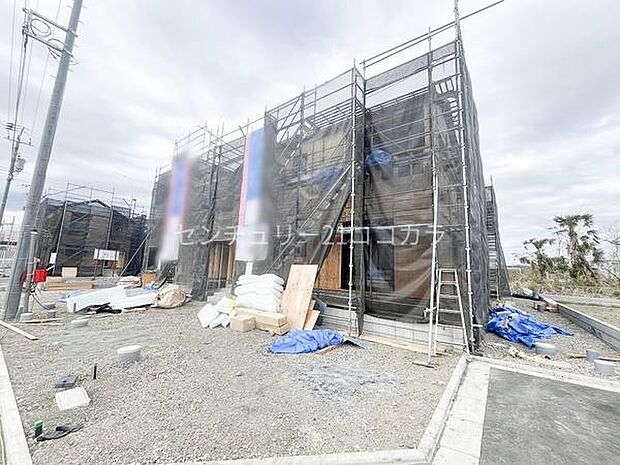 2026年3月19日撮影