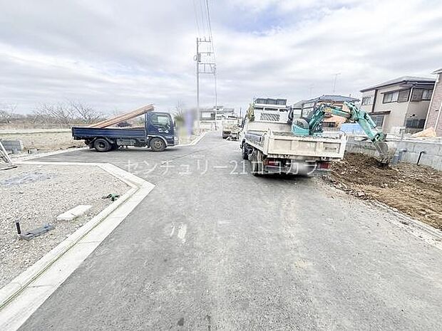 2026年3月19日撮影