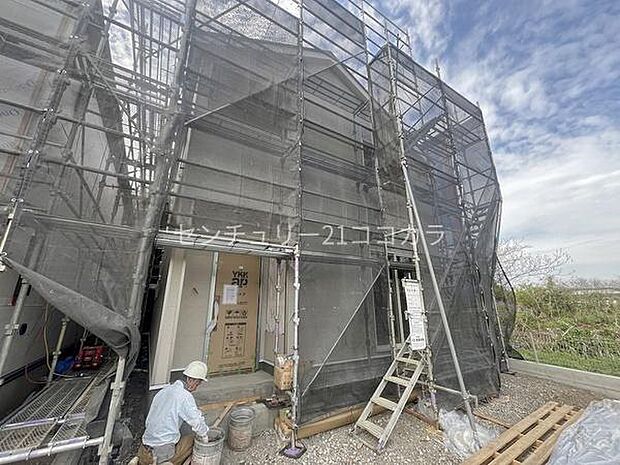 2026年4月13日撮影